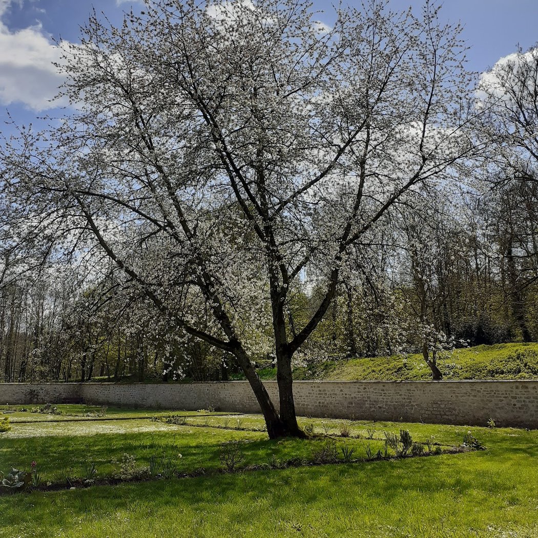 Valois Garden 1